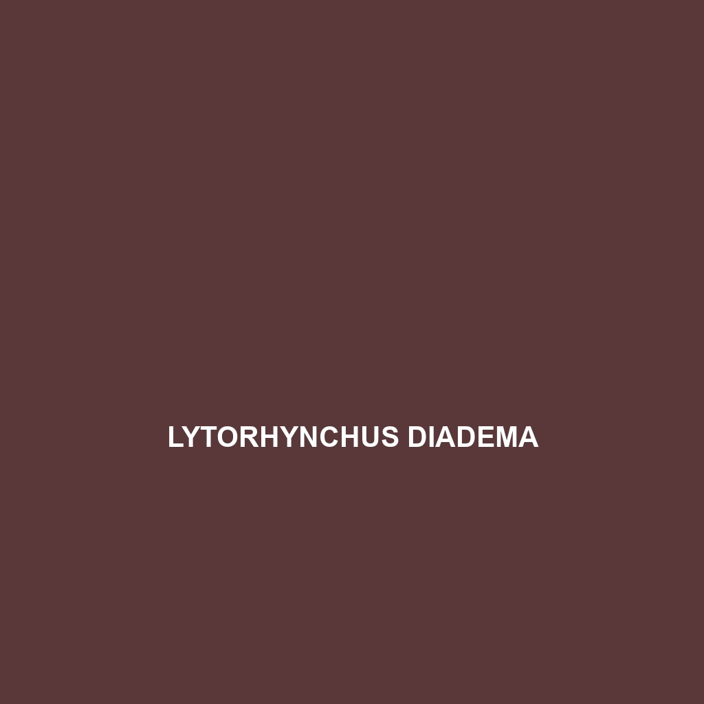 Lytorhynchus diadema