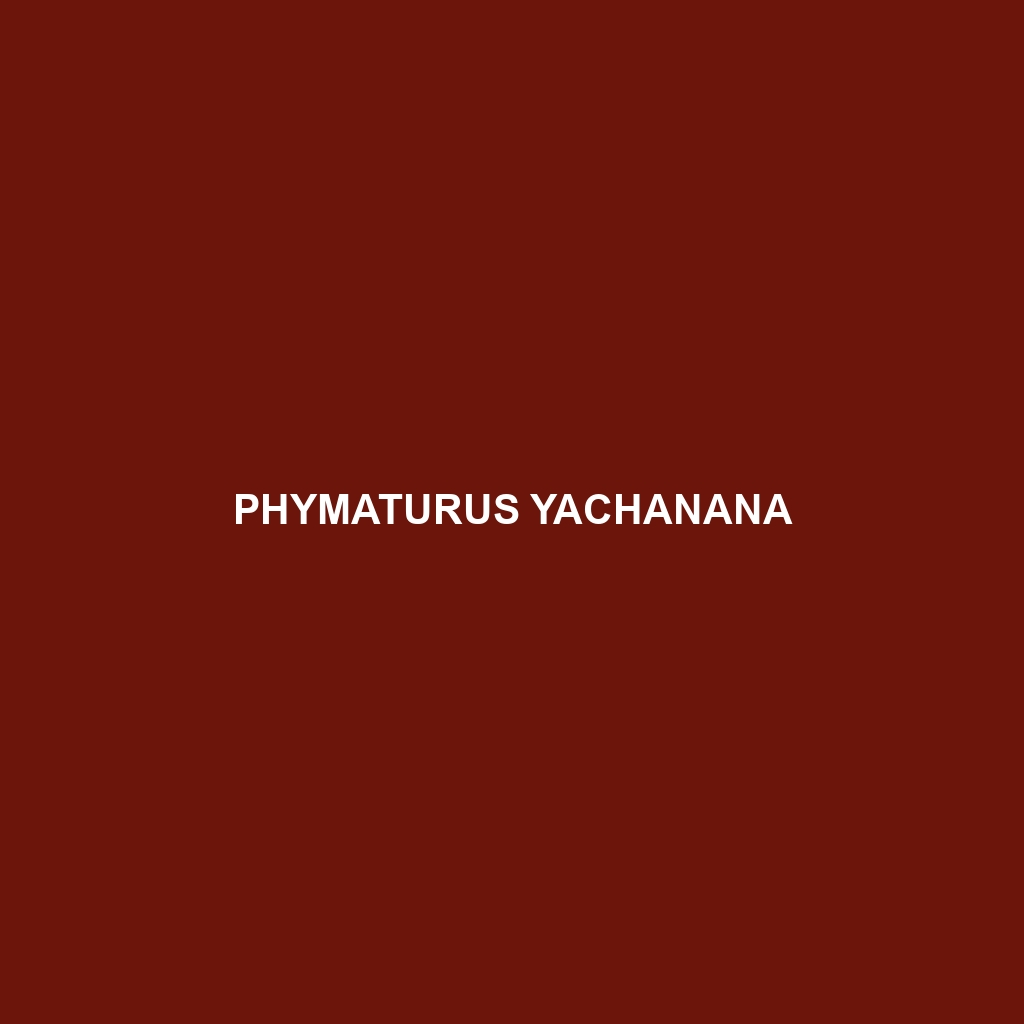 Phymaturus yachanana