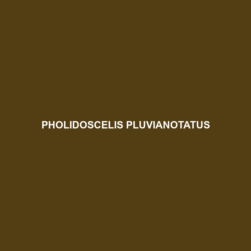 Pholidoscelis pluvianotatus