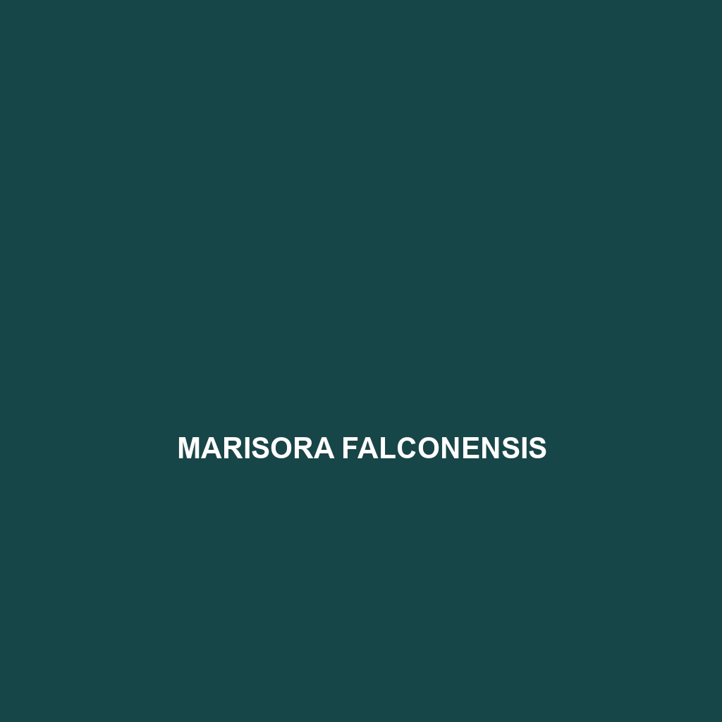 Marisora falconensis