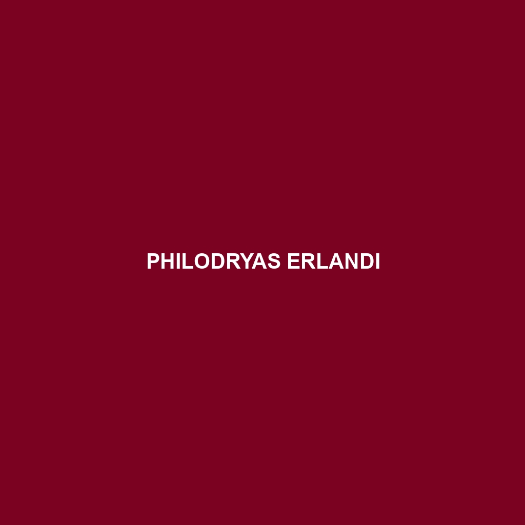 Philodryas erlandi