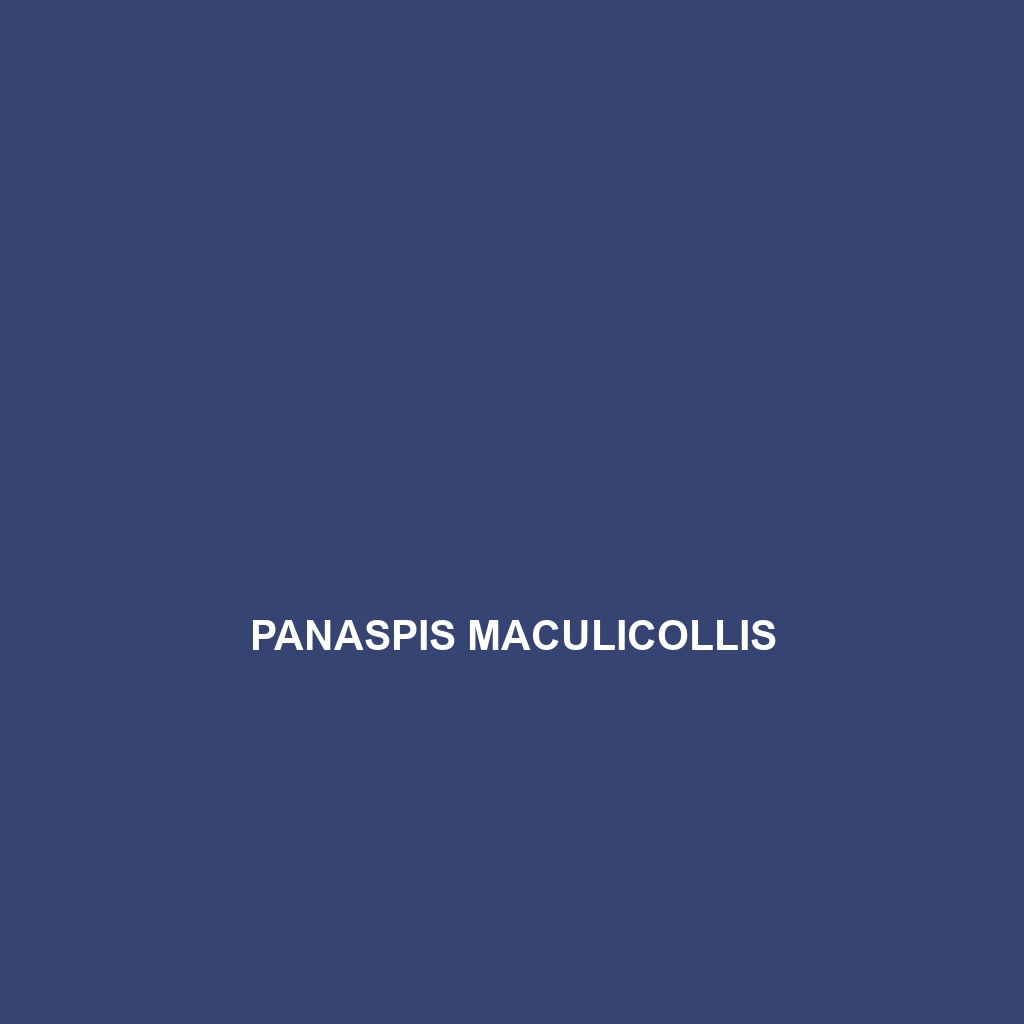 Panaspis maculicollis