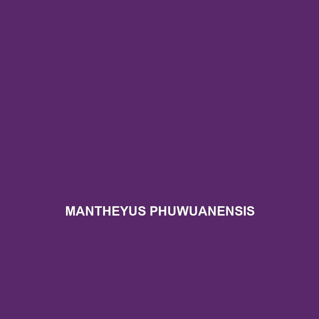 Mantheyus phuwuanensis