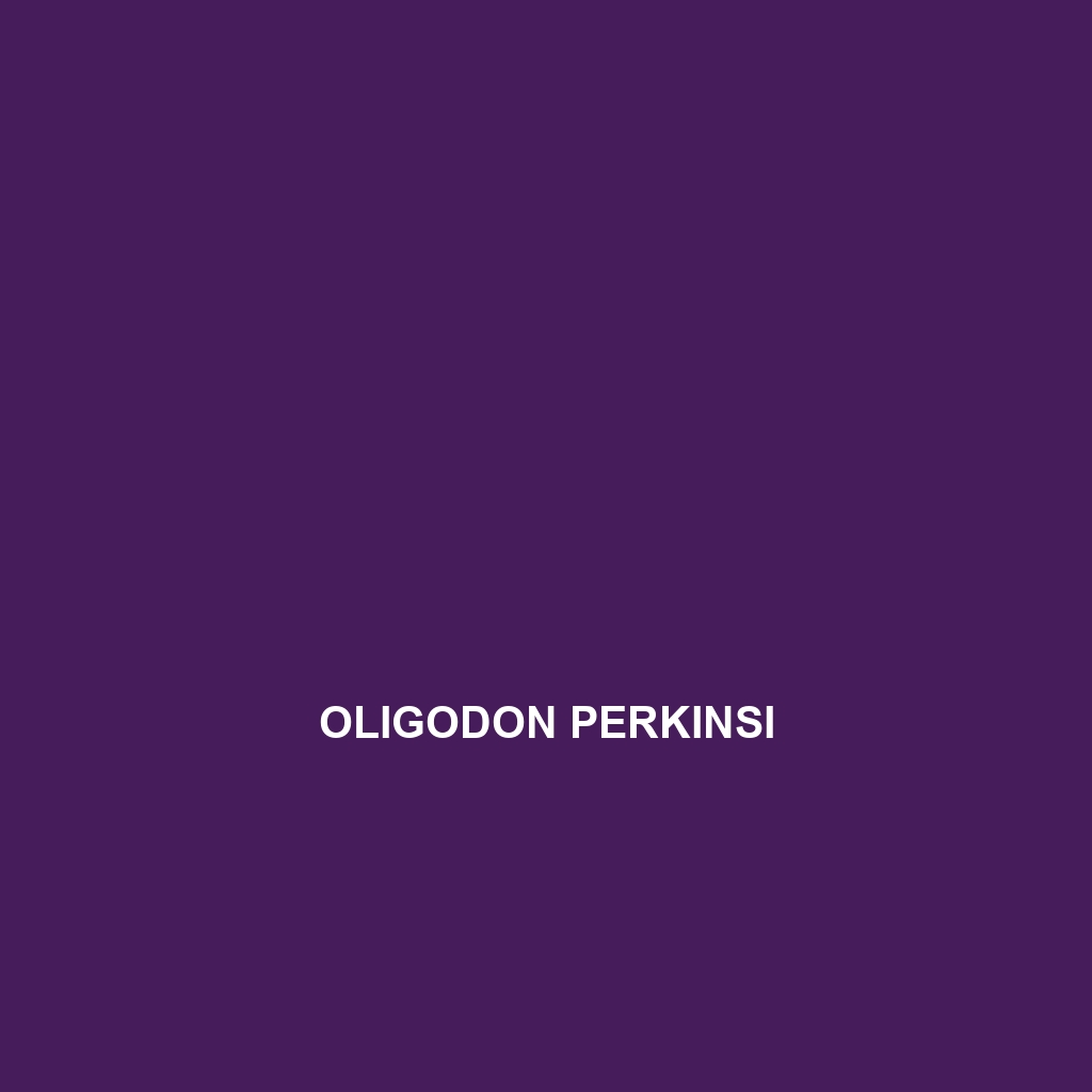 Oligodon perkinsi