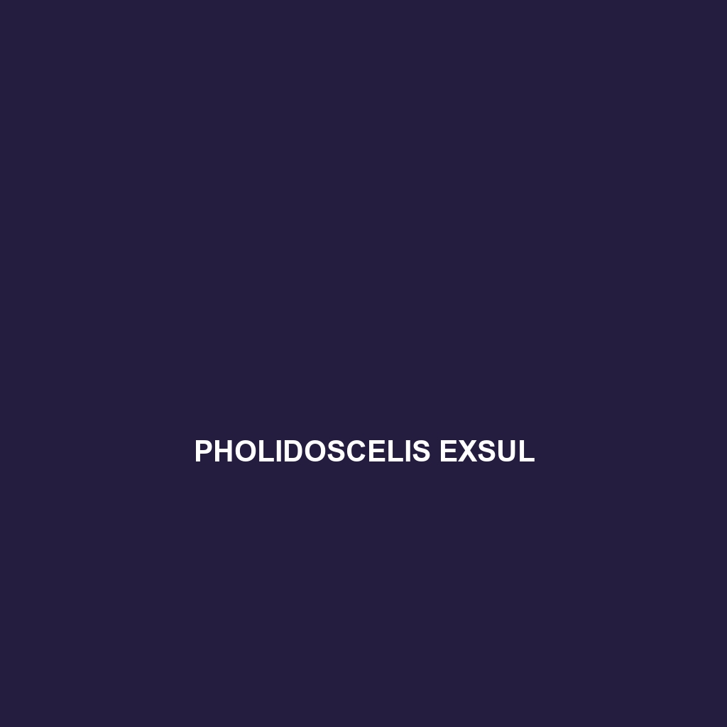 Pholidoscelis exsul