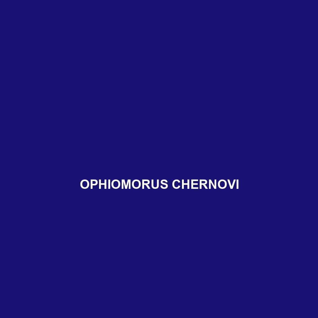 Ophiomorus chernovi