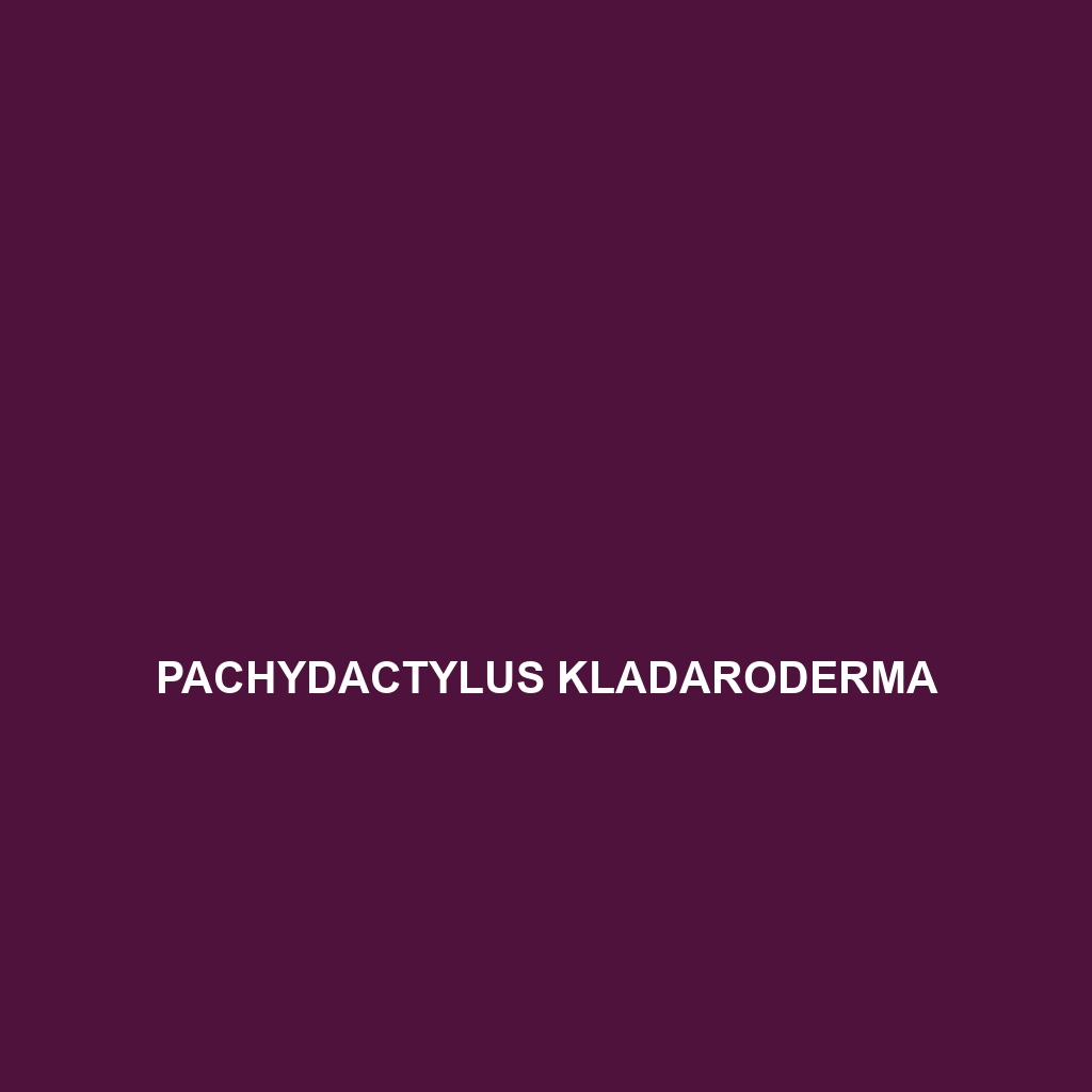 Pachydactylus kladaroderma