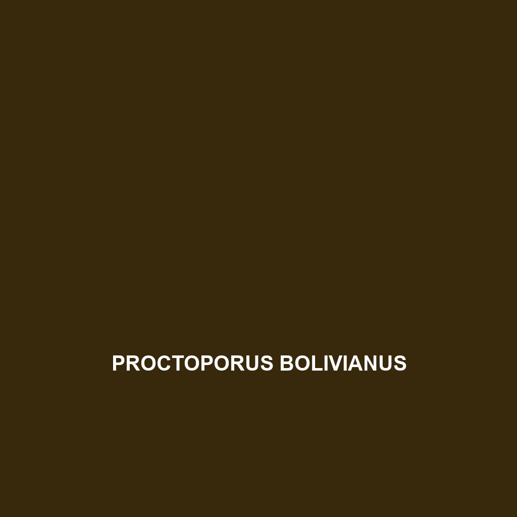 Proctoporus bolivianus