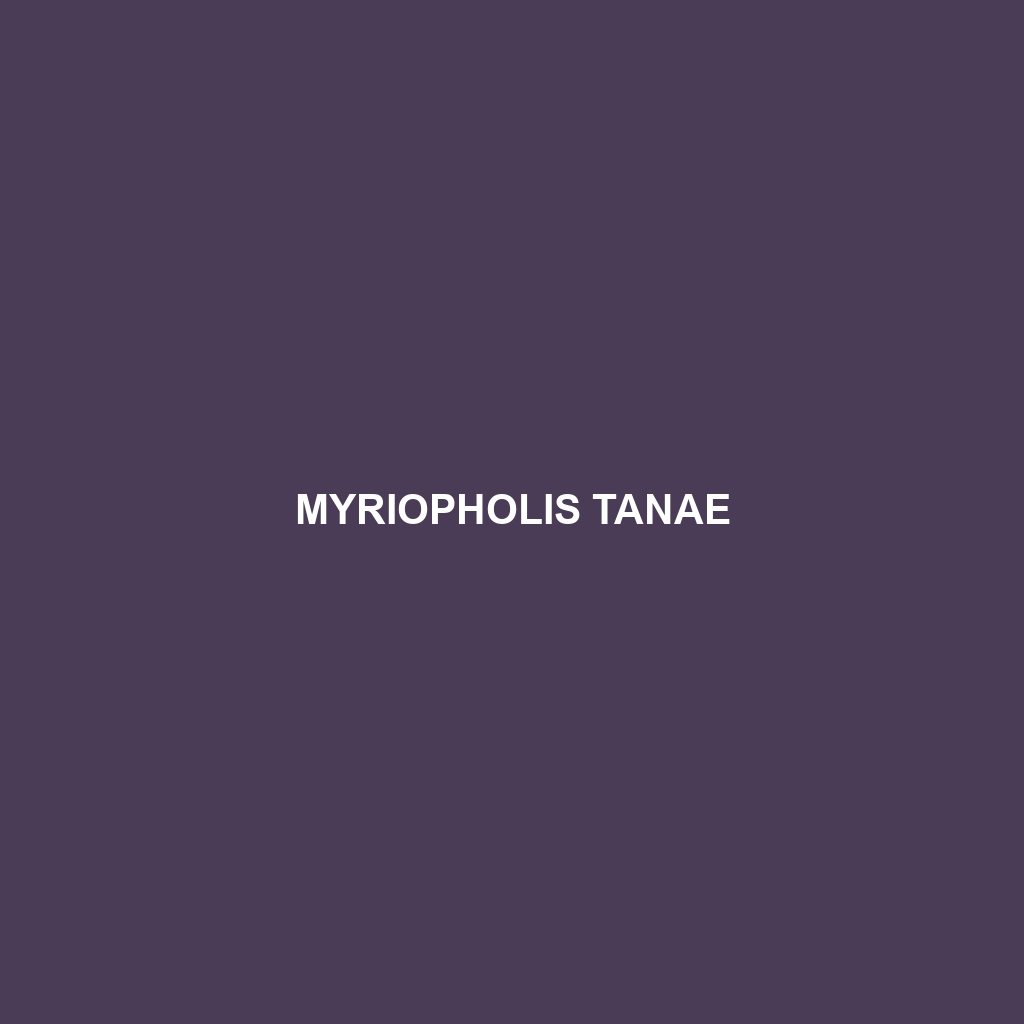 Myriopholis tanae