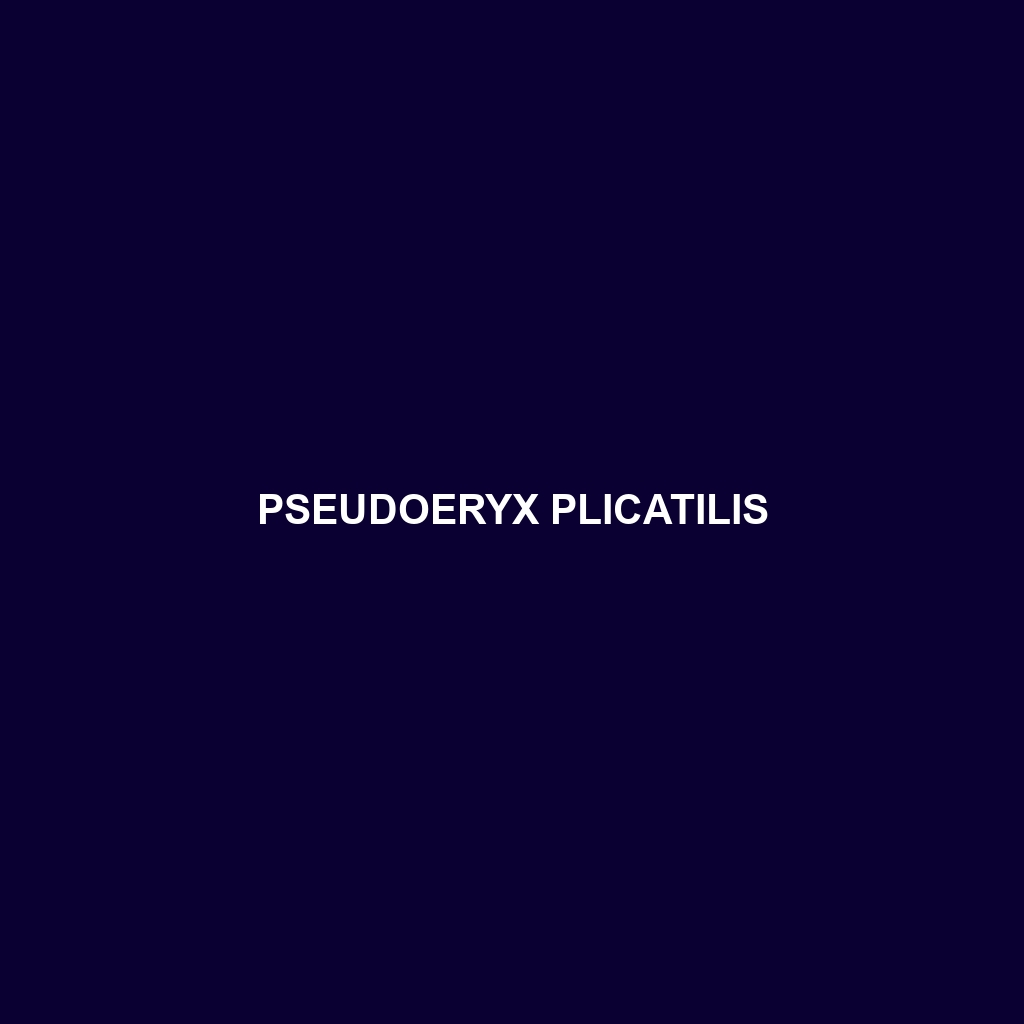 Pseudoeryx plicatilis