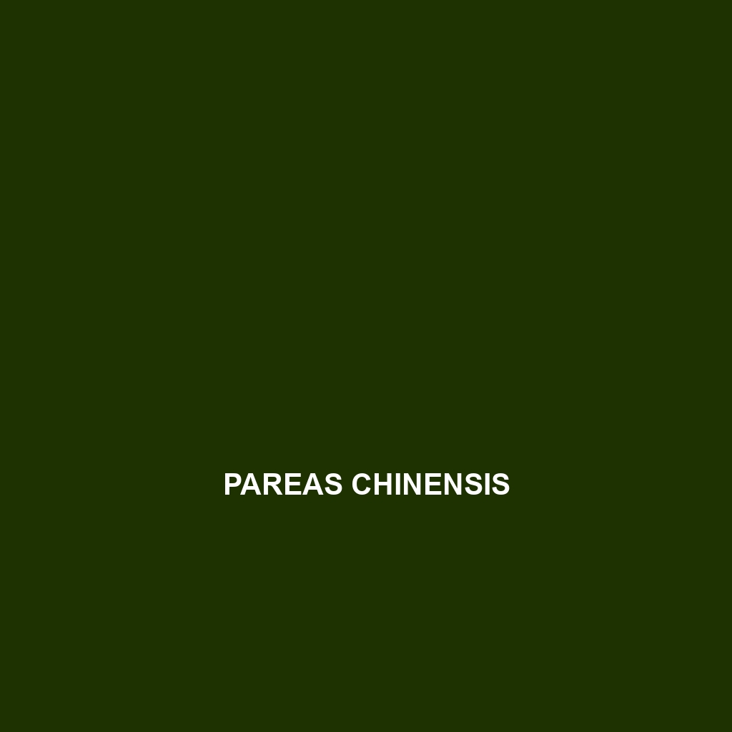 Pareas chinensis