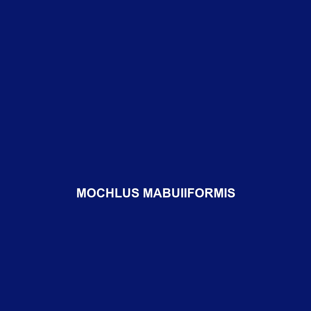 Mochlus mabuiiformis