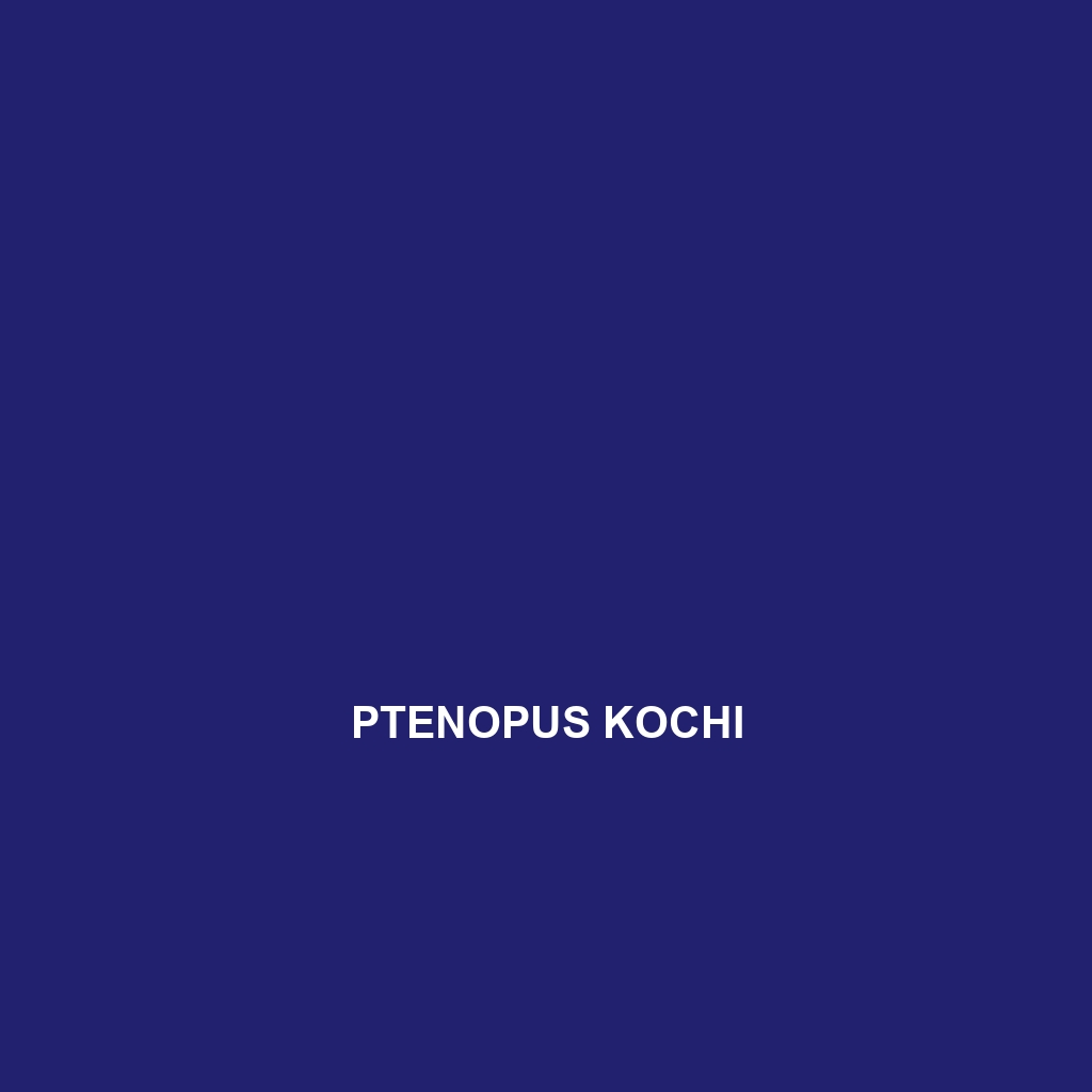 Ptenopus kochi