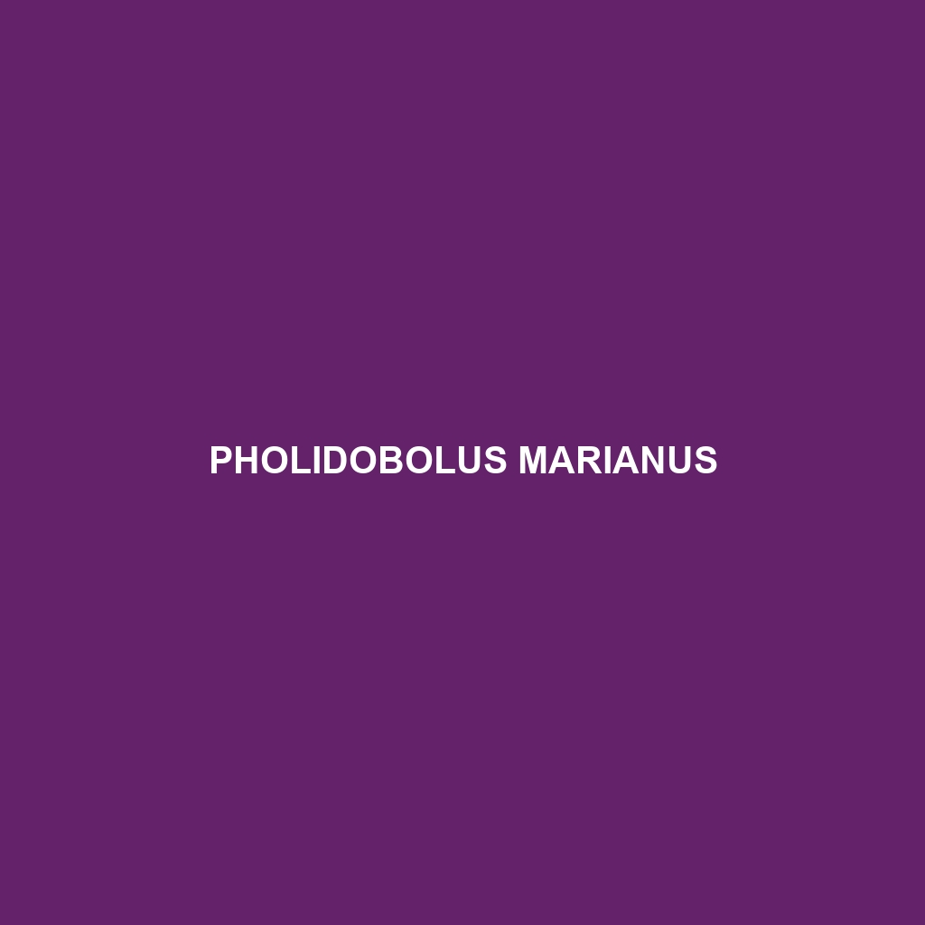 Pholidobolus marianus