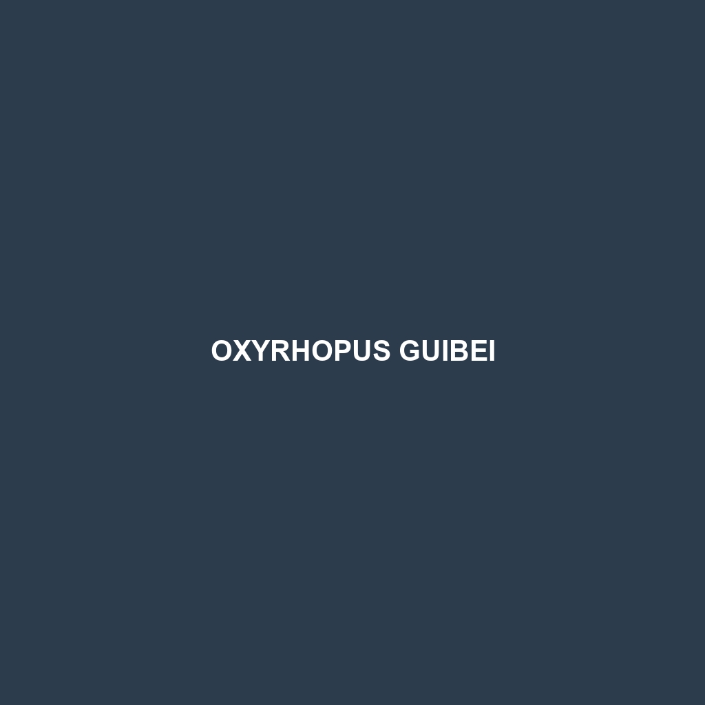 Oxyrhopus guibei