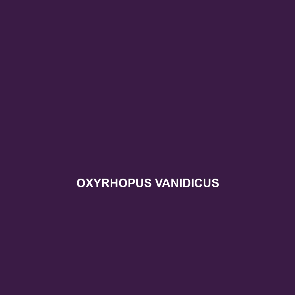 Oxyrhopus vanidicus