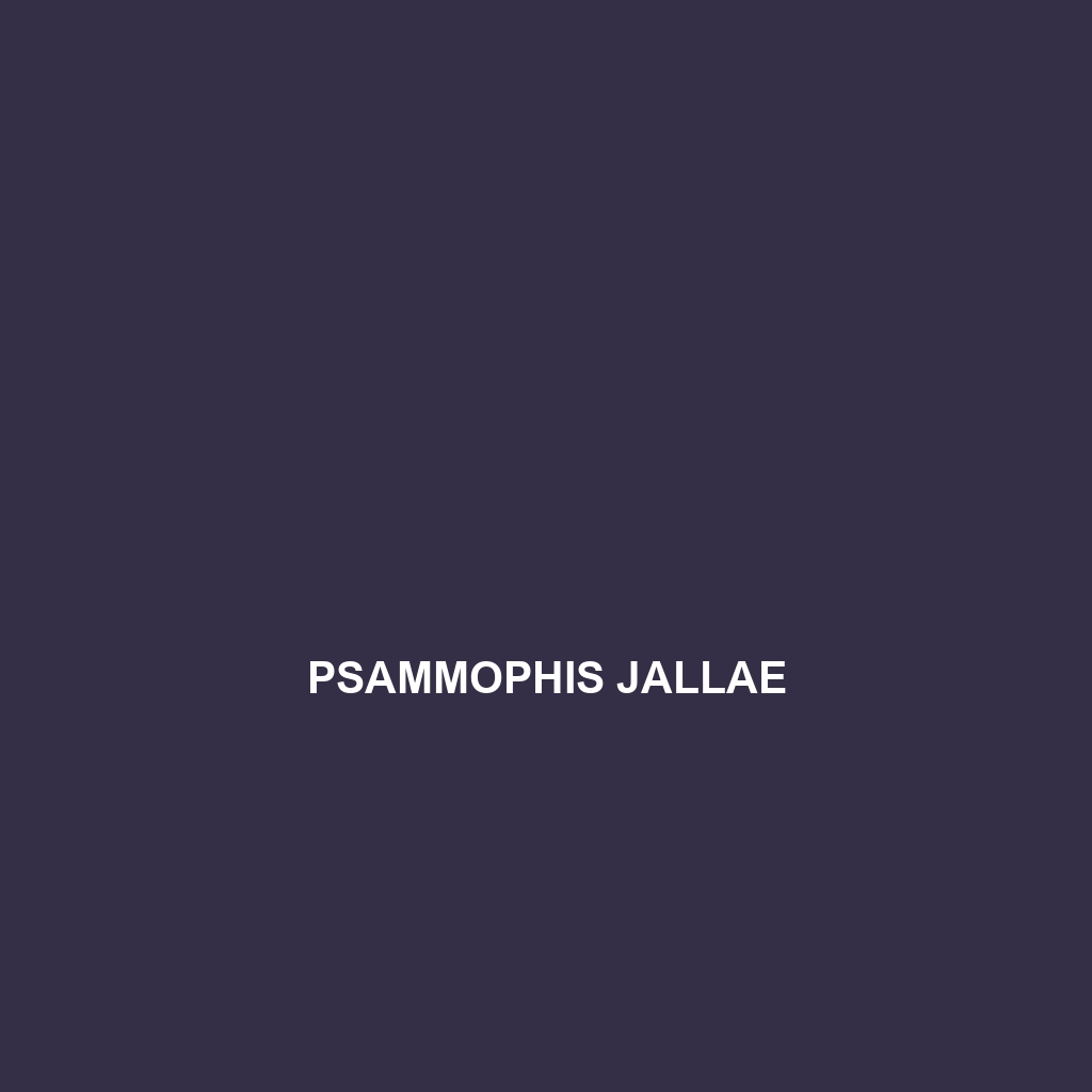 Psammophis jallae