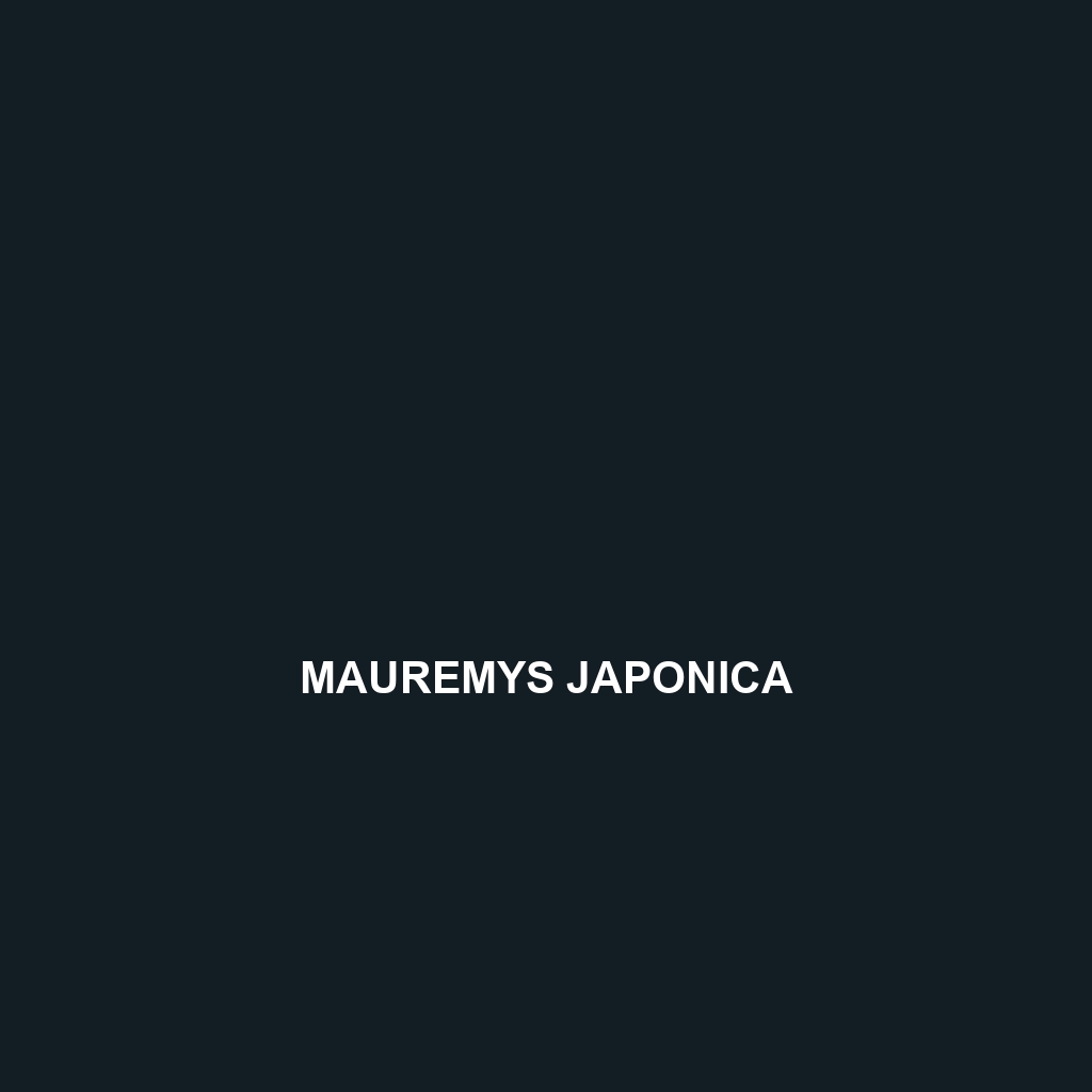 Mauremys japonica