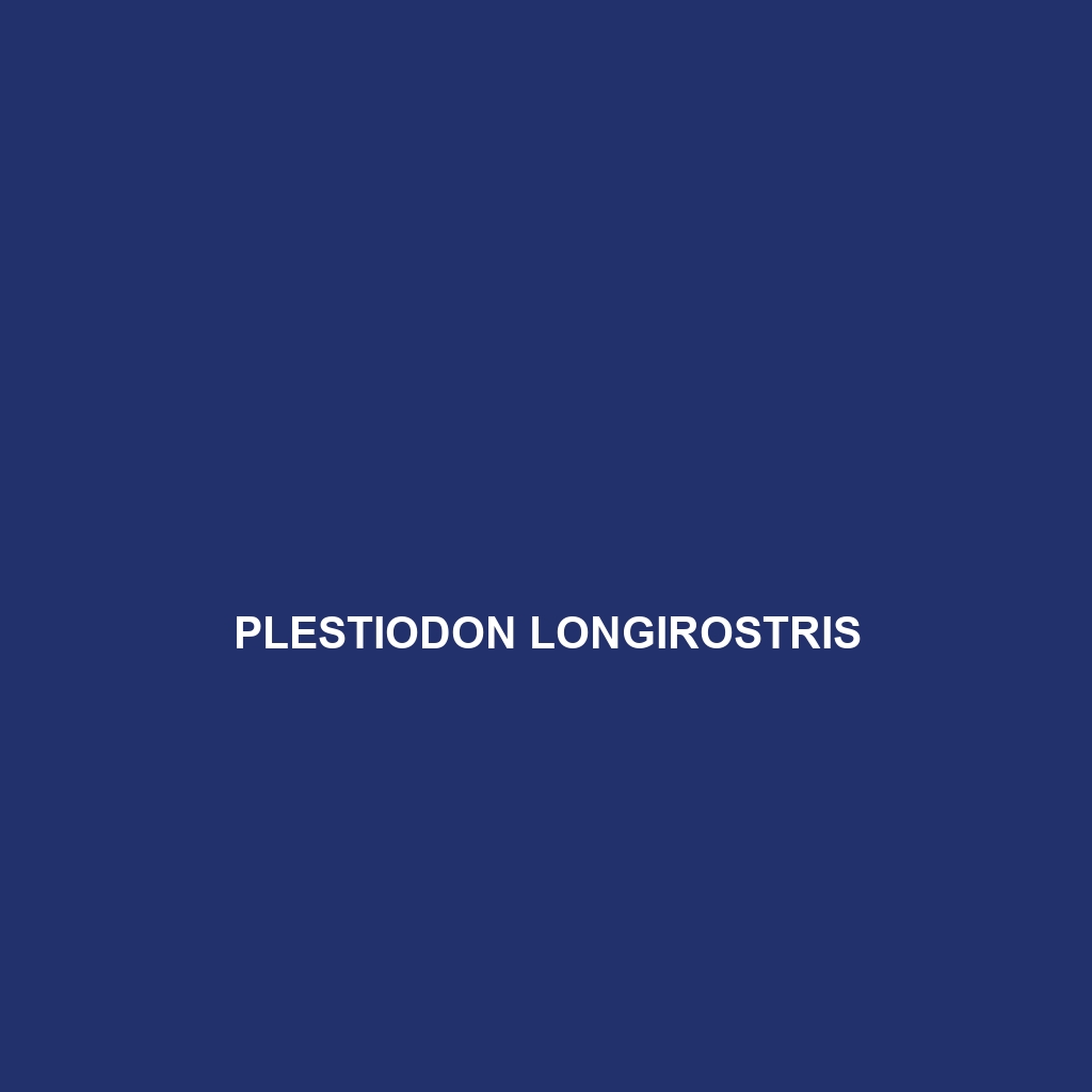 Plestiodon longirostris