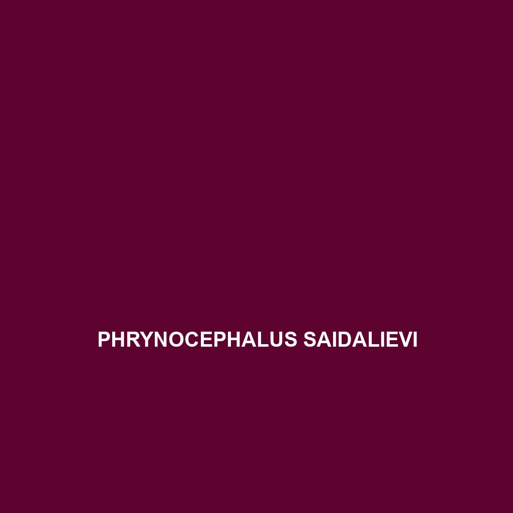 Phrynocephalus saidalievi