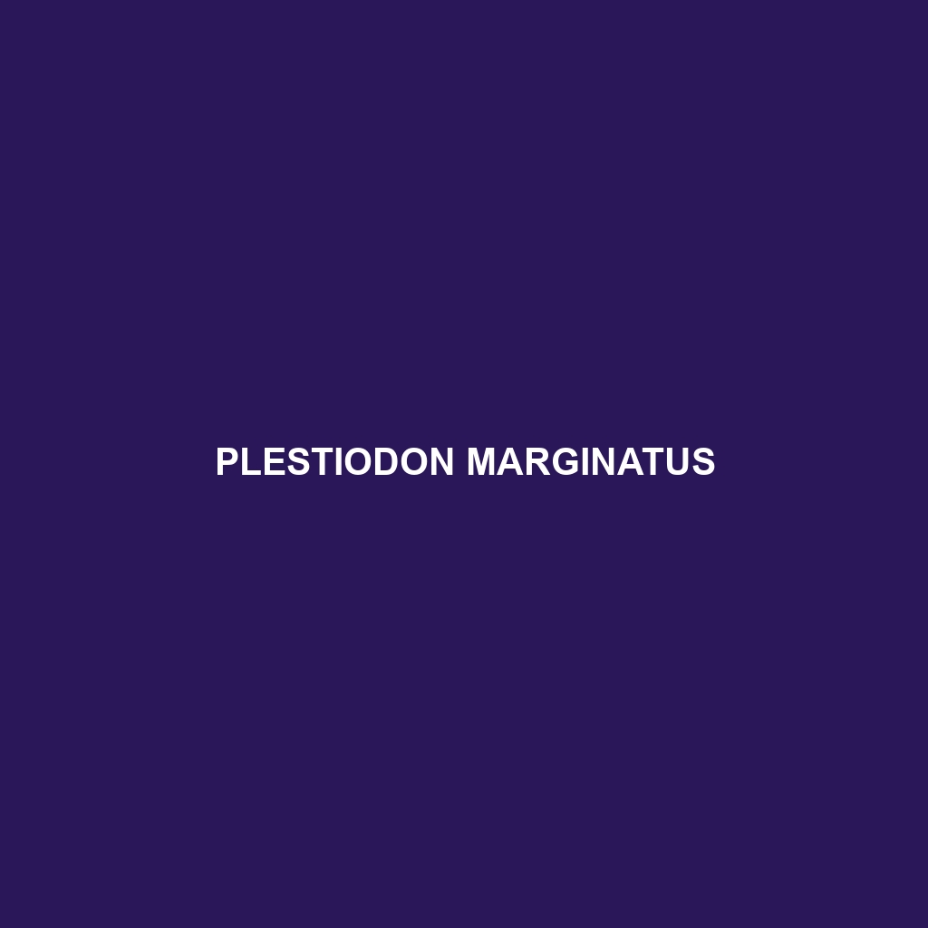 Plestiodon marginatus