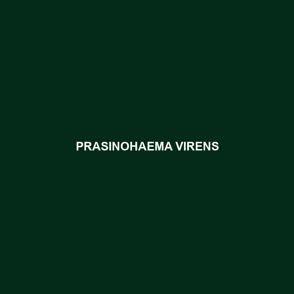 Prasinohaema virens