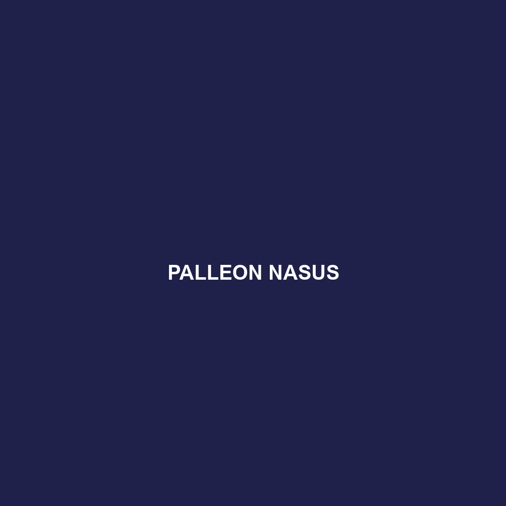 Palleon nasus