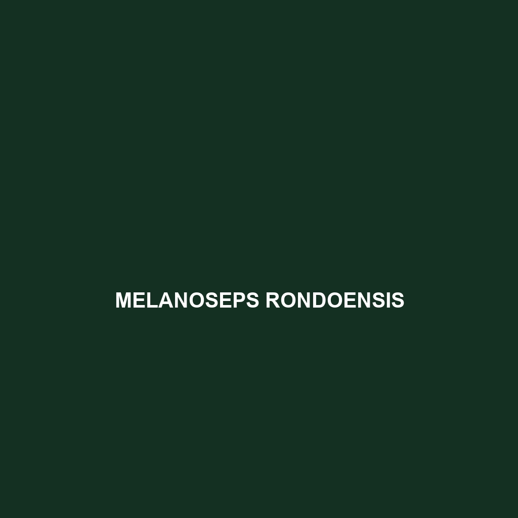 Melanoseps rondoensis