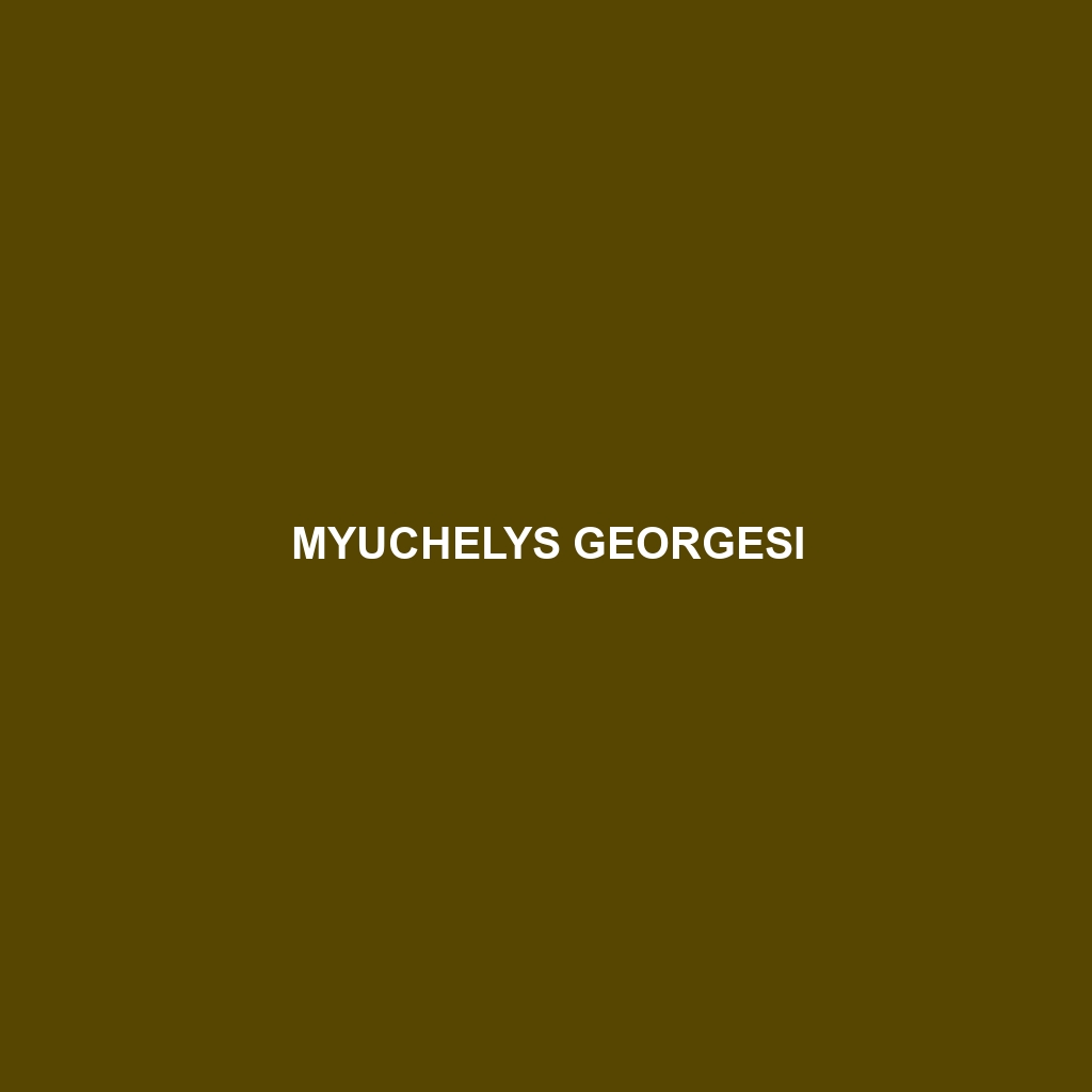 Myuchelys georgesi