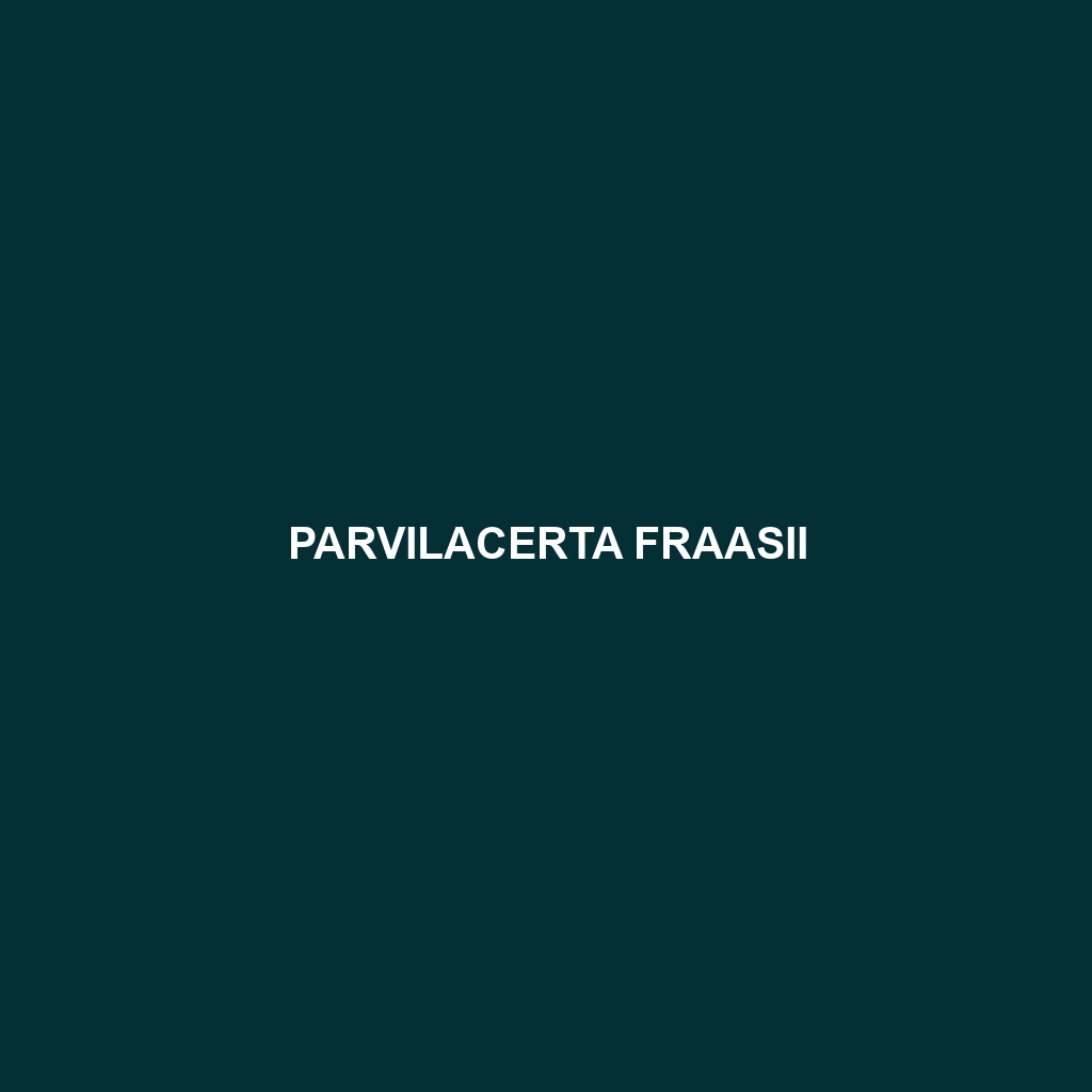 Parvilacerta fraasii