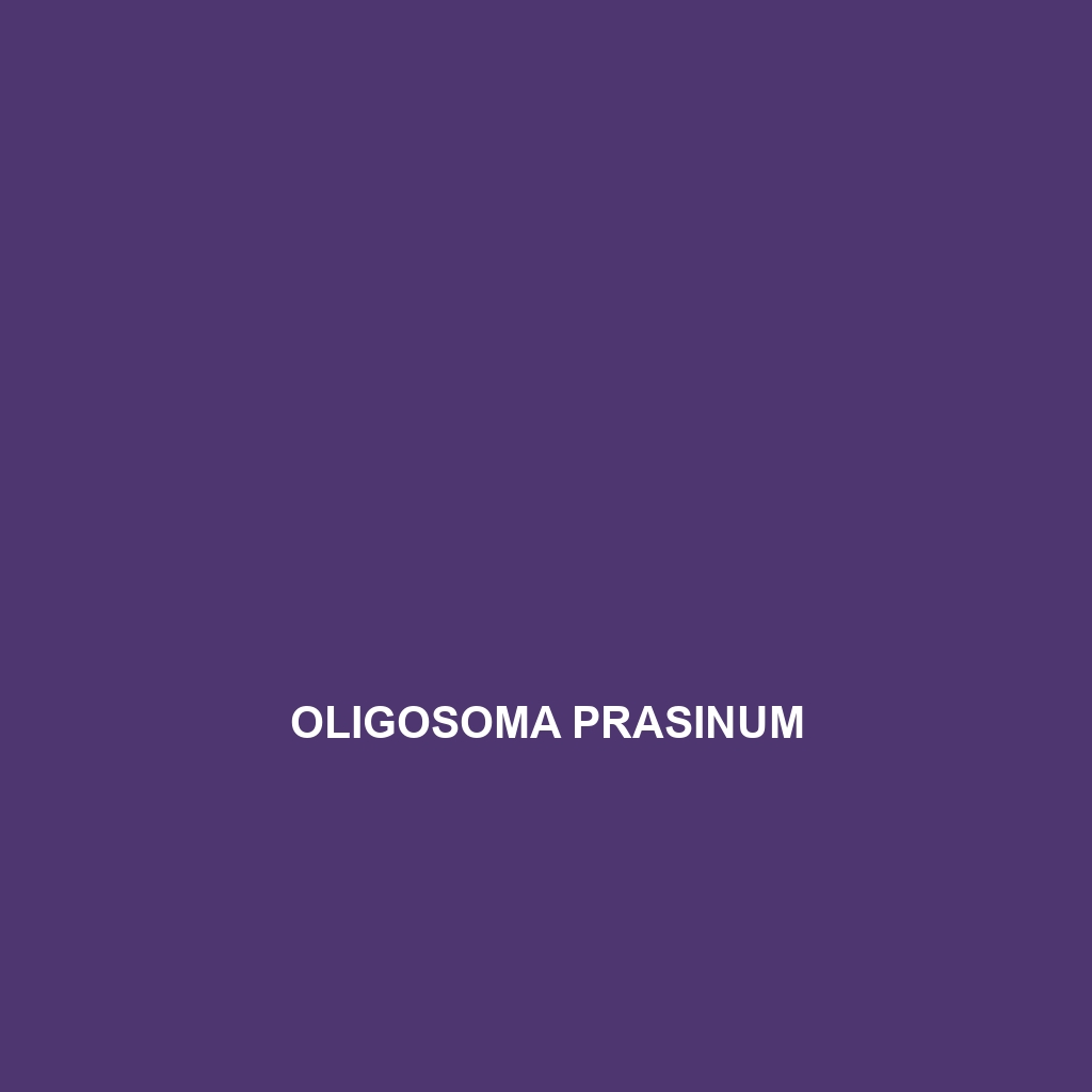 Oligosoma prasinum