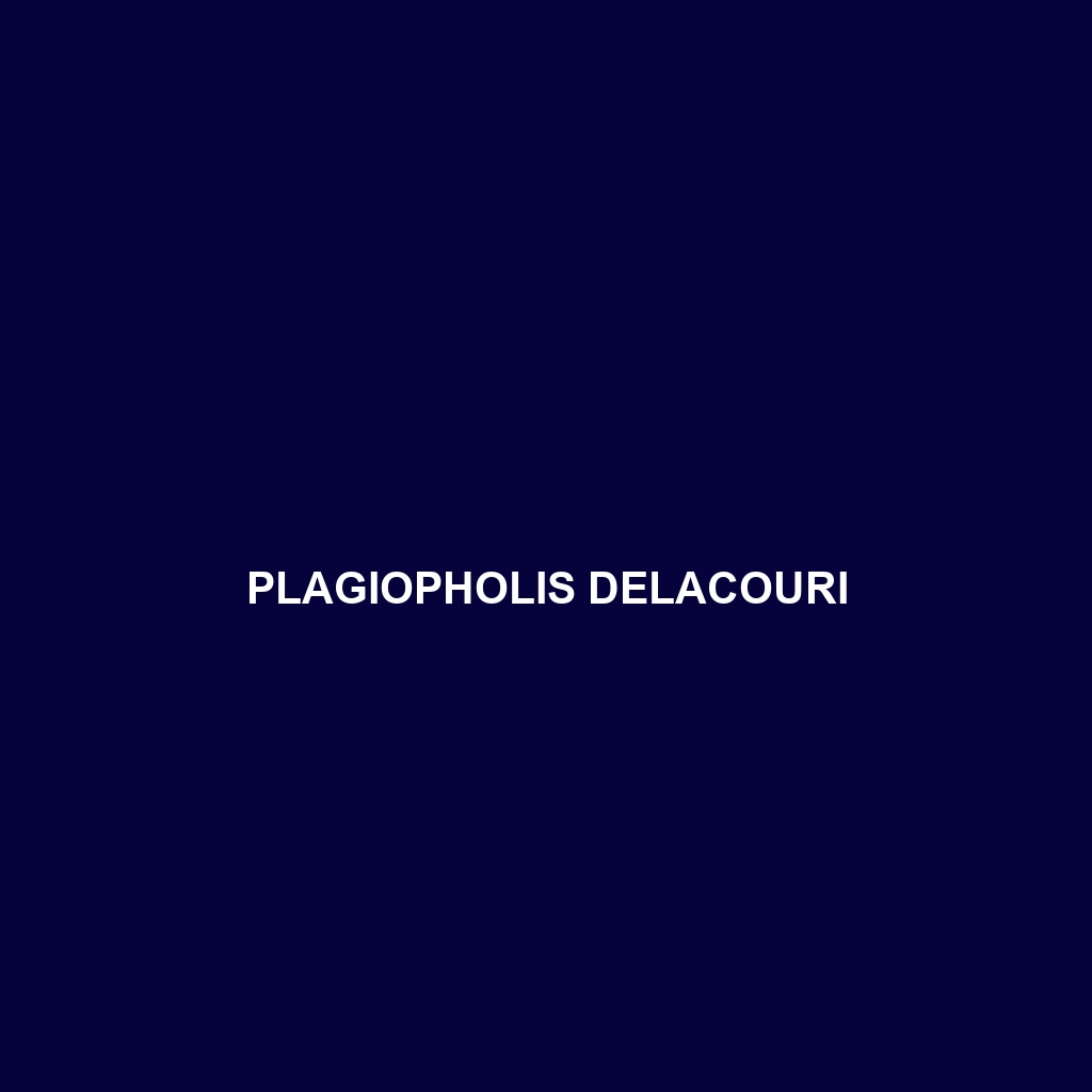 Plagiopholis delacouri