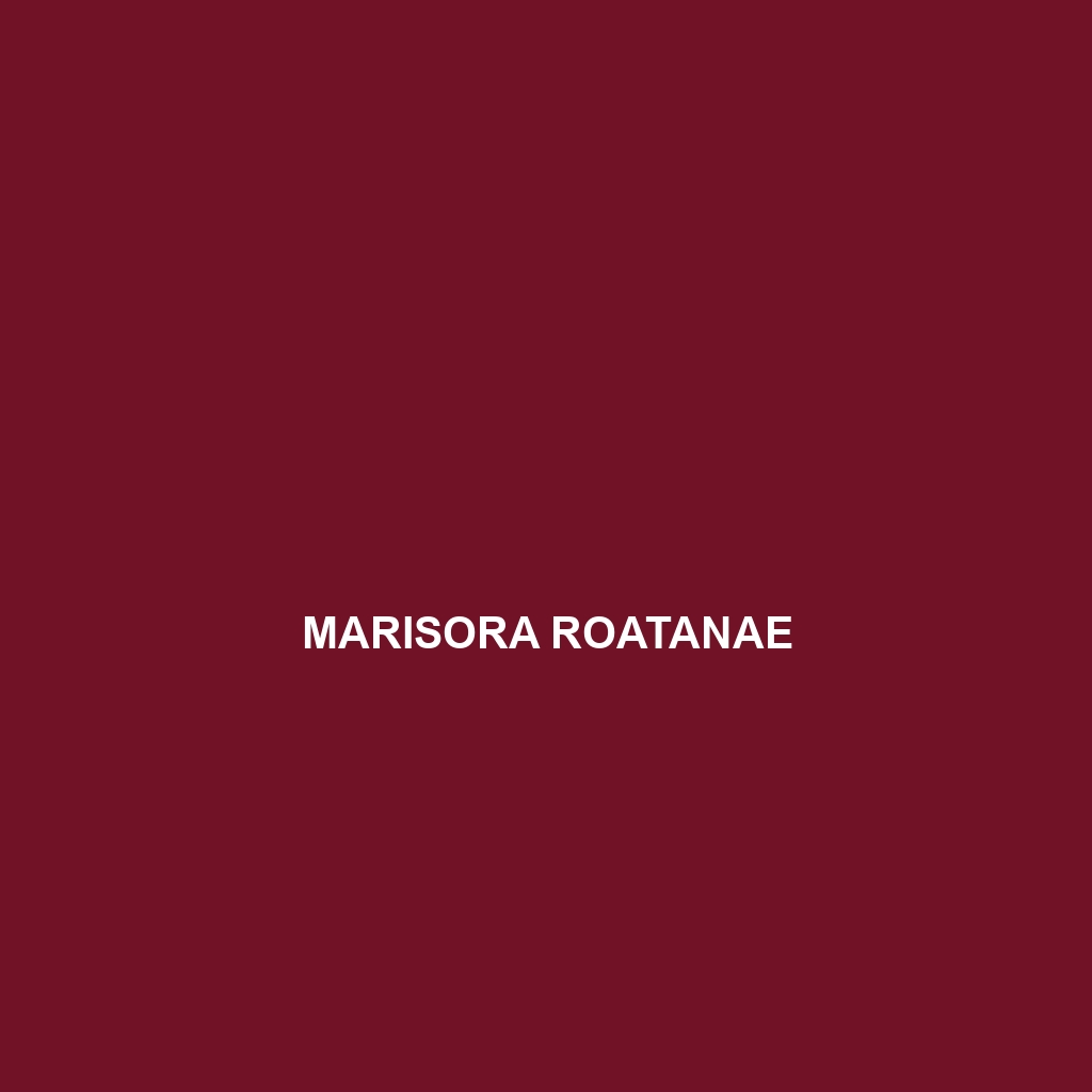 Marisora roatanae