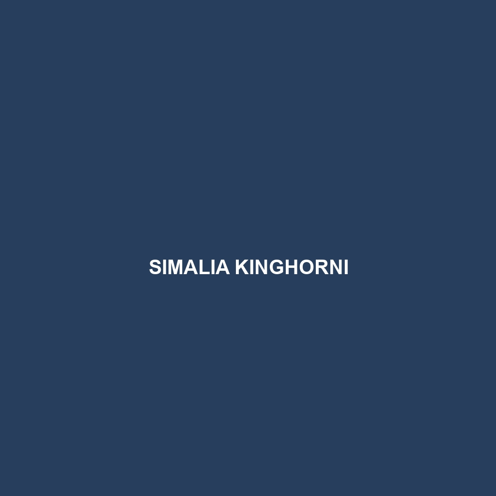 Simalia kinghorni