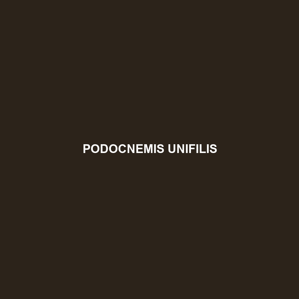 Podocnemis unifilis