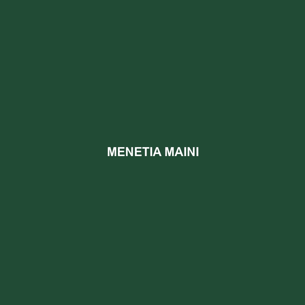 Menetia maini