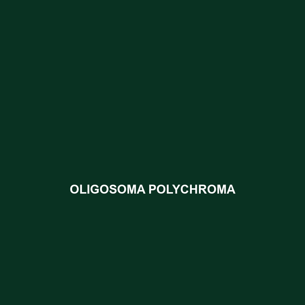 Oligosoma polychroma