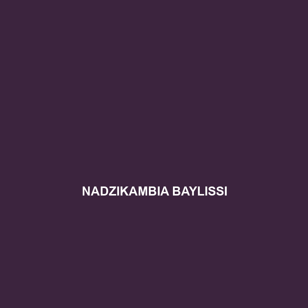 Nadzikambia baylissi