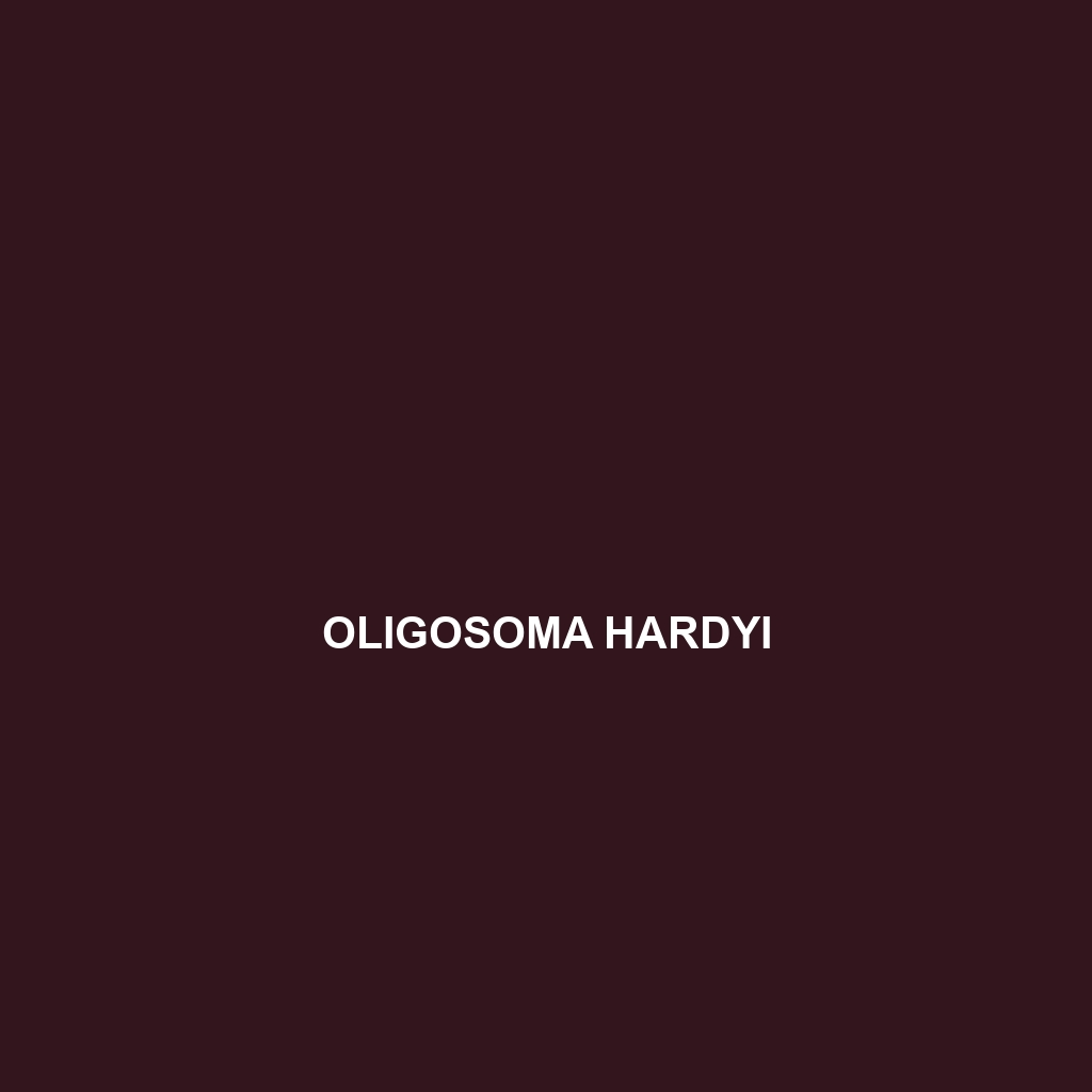 Oligosoma hardyi