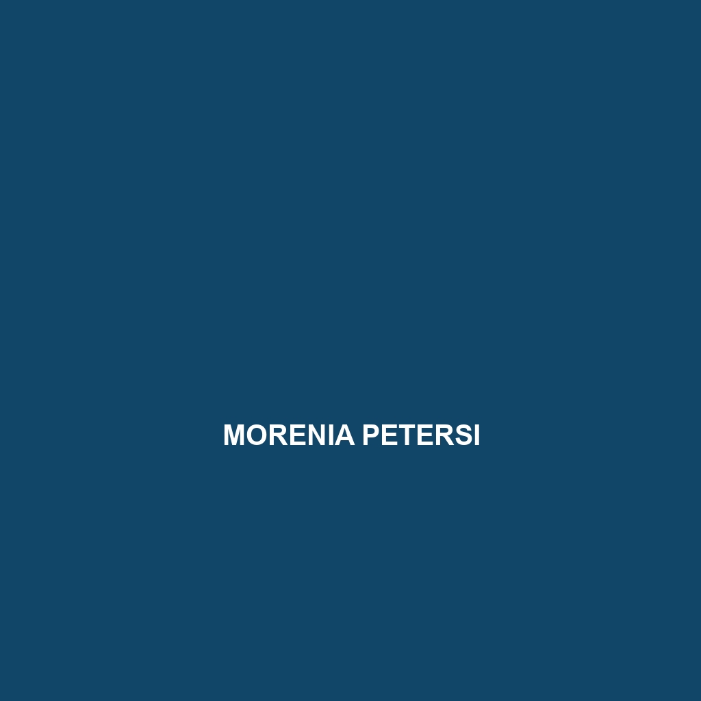 Morenia petersi