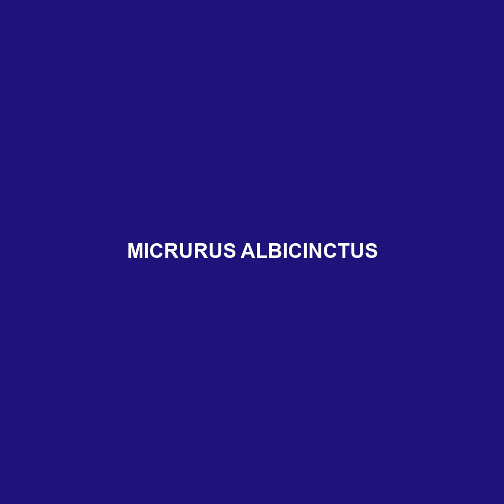 Micrurus albicinctus