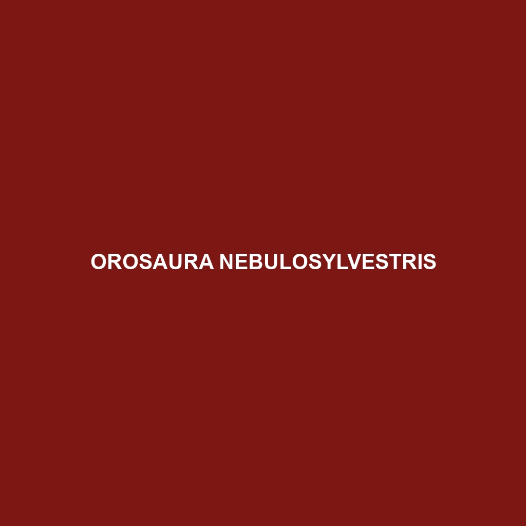 Orosaura nebulosylvestris