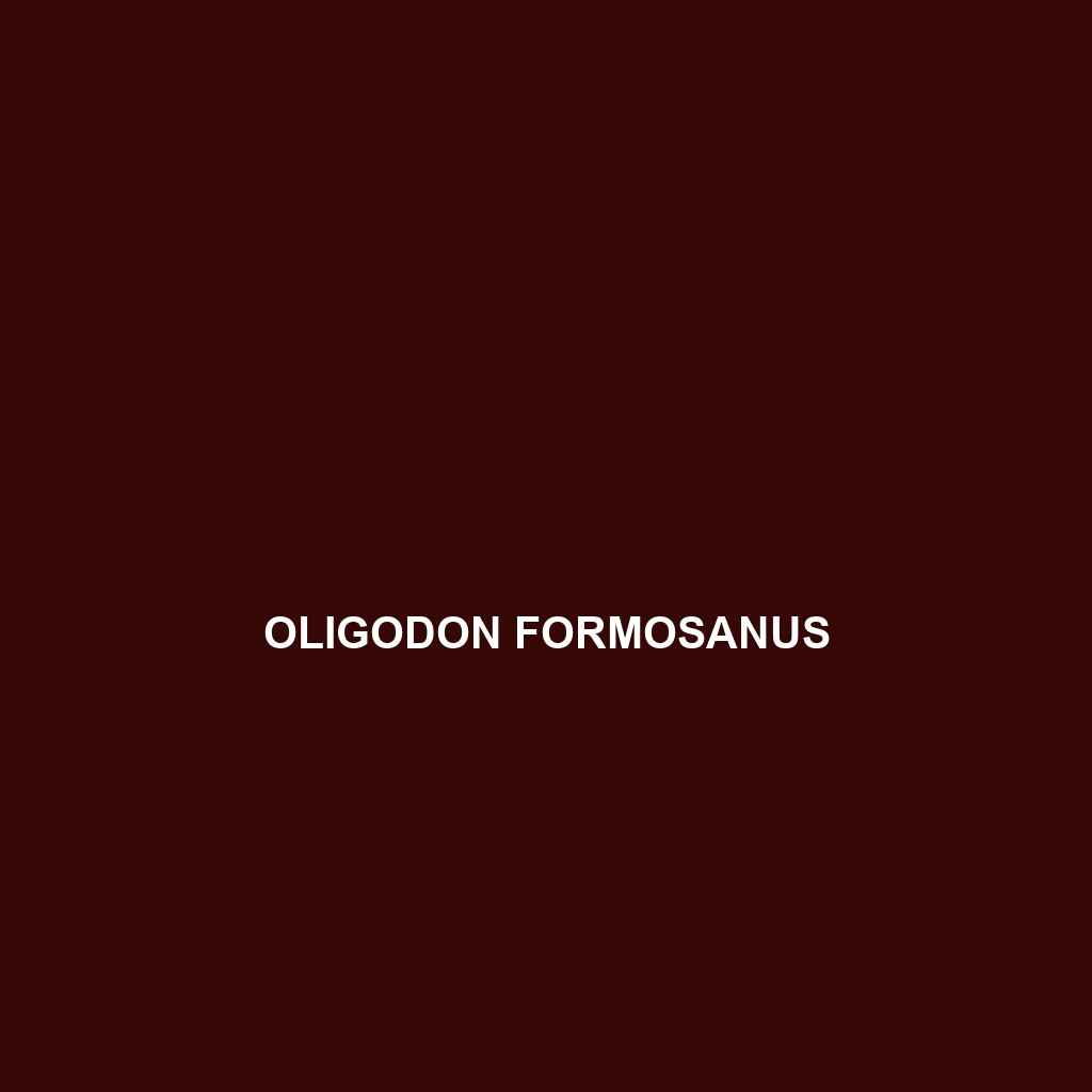 Oligodon forbesi