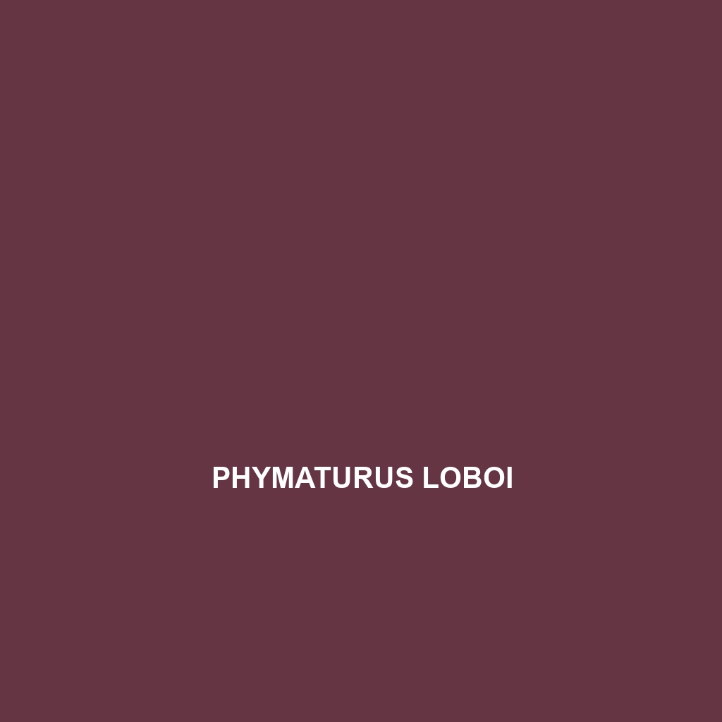 Phymaturus loboi