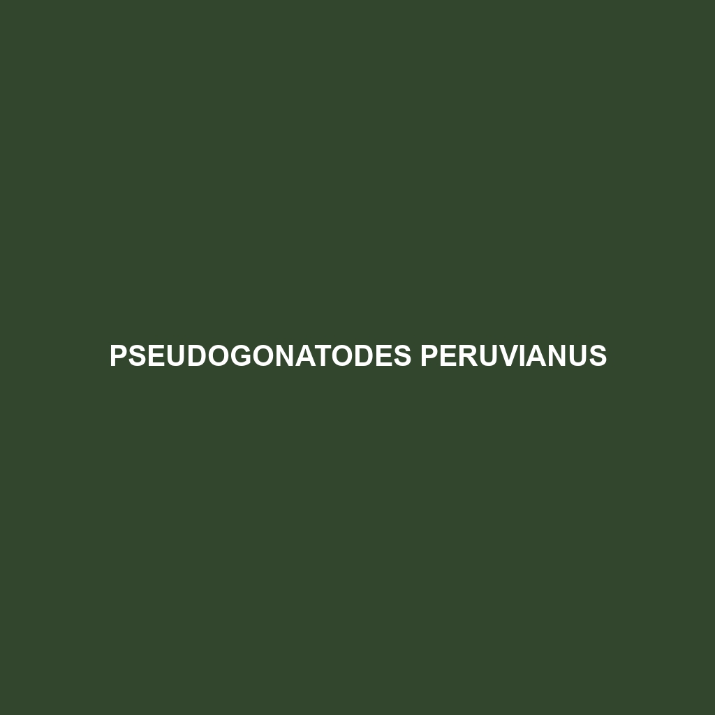 Pseudogonatodes peruvianus