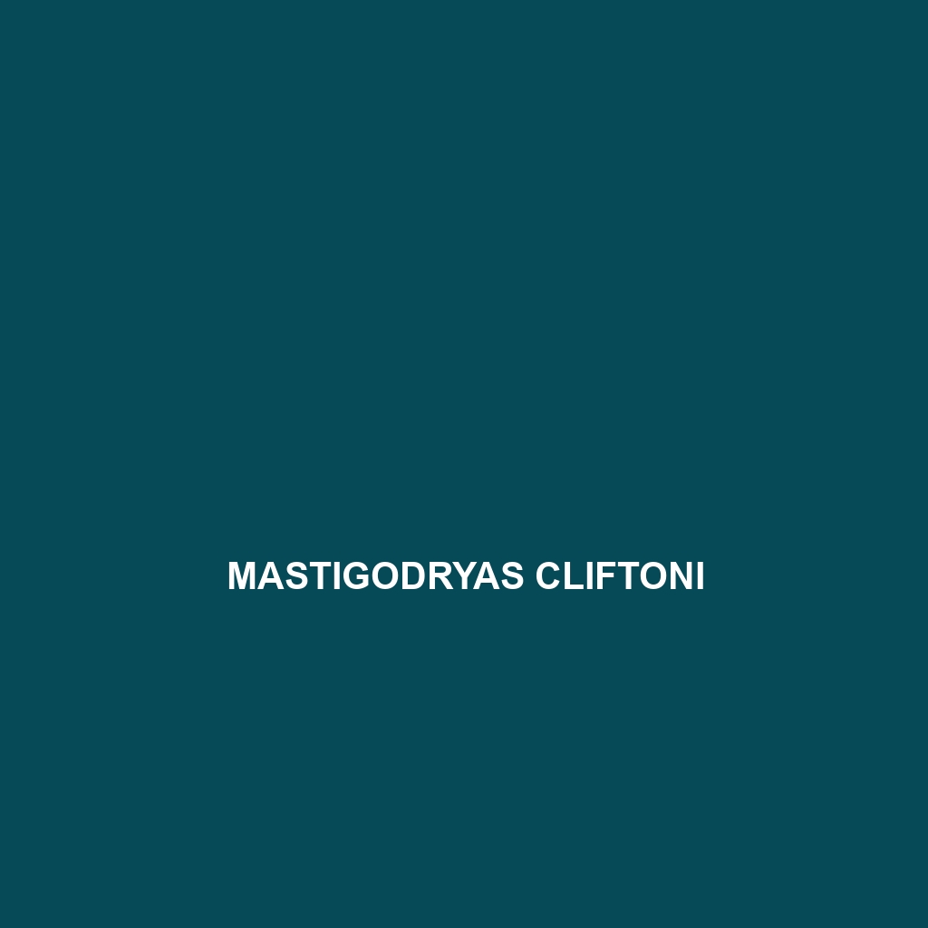 Mastigodryas cliftoni