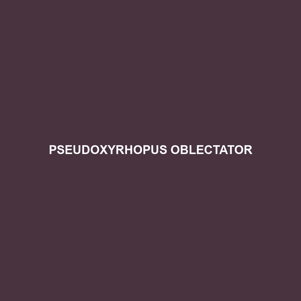 Pseudoxyrhopus oblectator