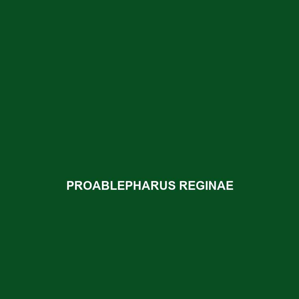 Proablepharus reginae