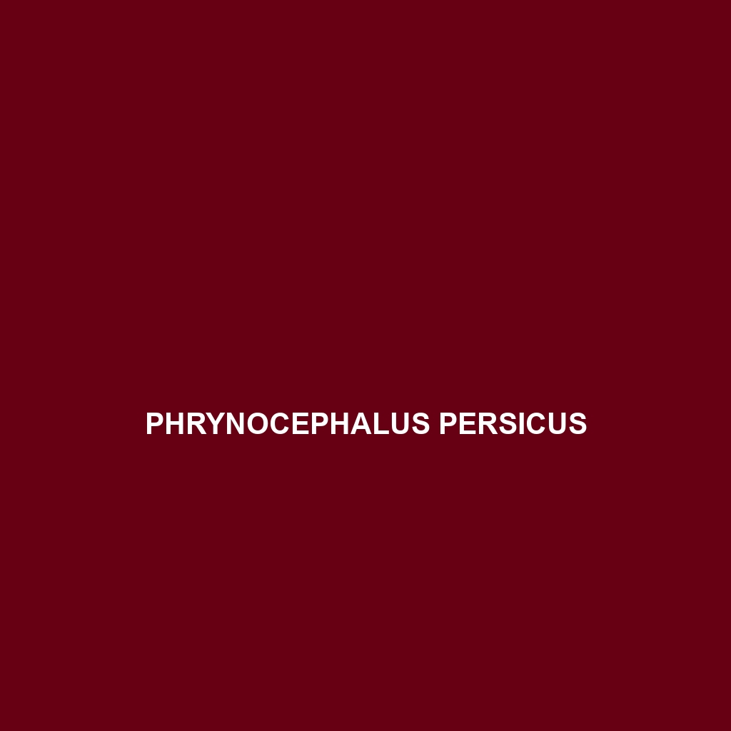 Phrynocephalus persicus