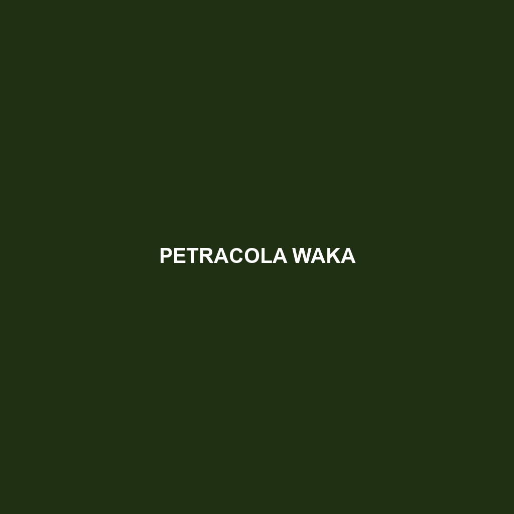 Petracola waka